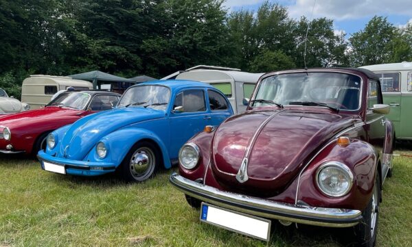Käferfreunde Emsland organisieren zum 22. Mal Air cooled Show am Speichersee