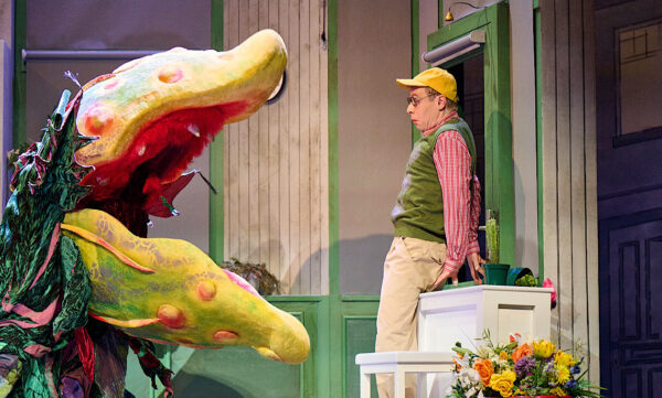 „Der kleine Horrorladen“ im Theater an der Wilhelmshöhe
