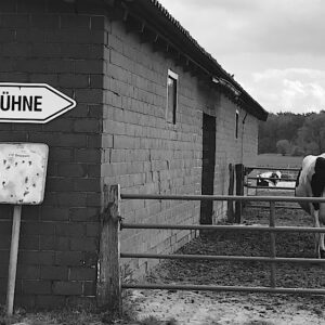 TALKRUNDE – KULTUR AUF DEM LAND