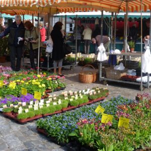 Leeraner Wochenmarkt