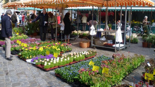 Leeraner Wochenmarkt